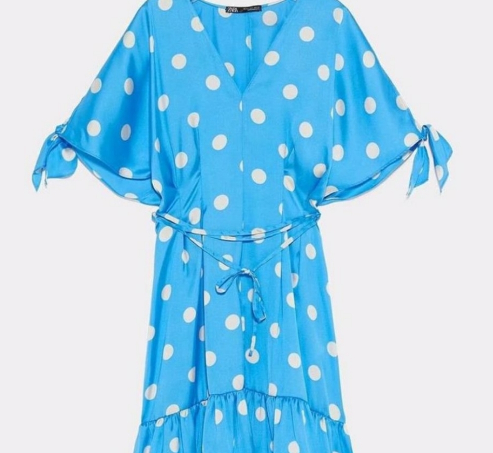 Zara dress